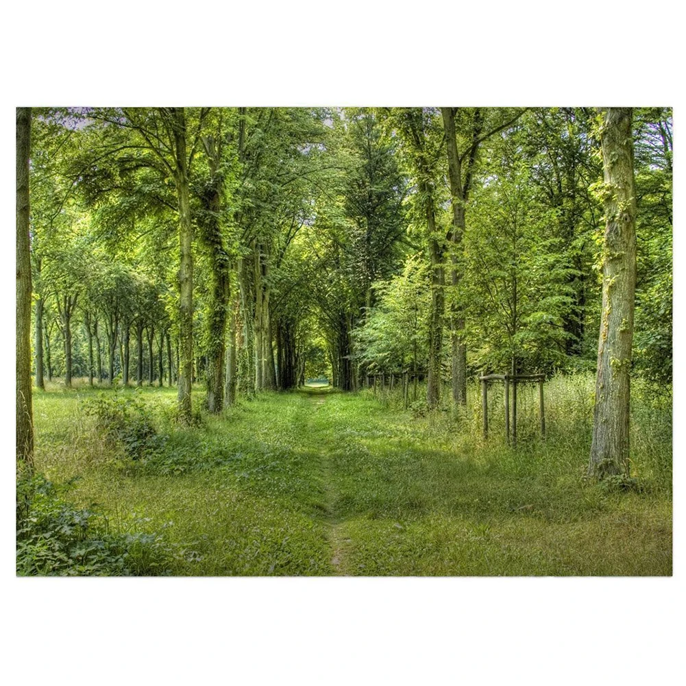 Винил ходить по траве Road леса фонов 2.1*1.5 м (7 * 5ft) фотографии Фоны реквизит для
