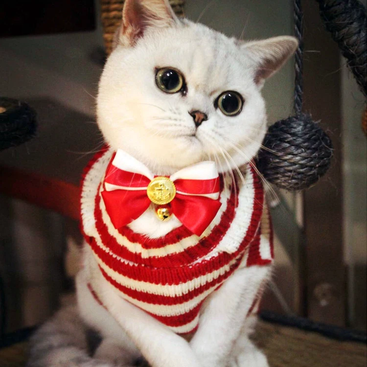 Маленький/большой/щенок/молоко/чашка собака кошка Рождественский костюм