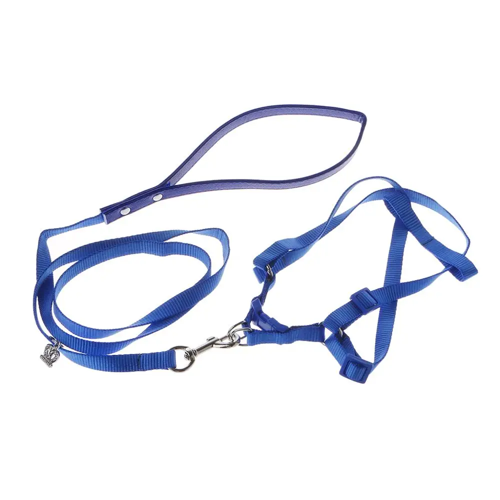 Регулируемая уличная шлейка для животных|Дрессировка птиц| |