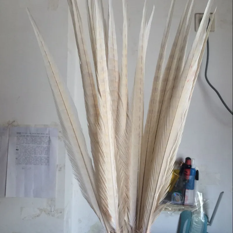 Оптовая продажа 100 шт. красивые бежевые перья фазана 16-18 дюймов 40-45 см Бесплатная
