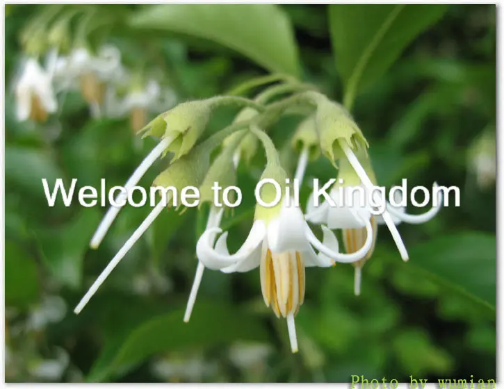 100% чистые растительные эфирные масла бензоиновое масло 2 мл импорт из Вьетнама