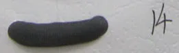 14-dark grey 1 Катушка лайкра шнур прошитый эластичный лайкра шнур ткань лайкра полоса - Цвет: 14-dark grey