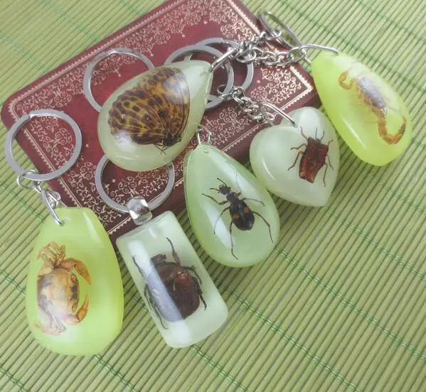 Настоящее насекомое, морепродукты, животное, светящийся Шарм, брелок для ключей, панк, модные украшения для мужчин, индивидуальный ключ, цепочки