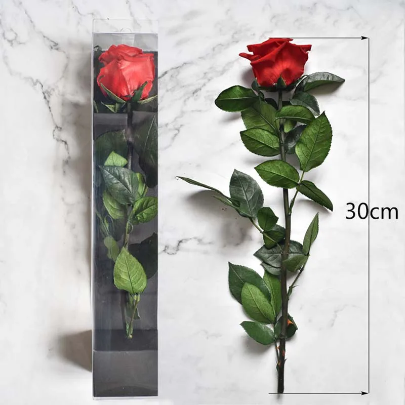 4-5 см Length30CM Красота и чудовище навсегда Роза натуральный сухой сохранились
