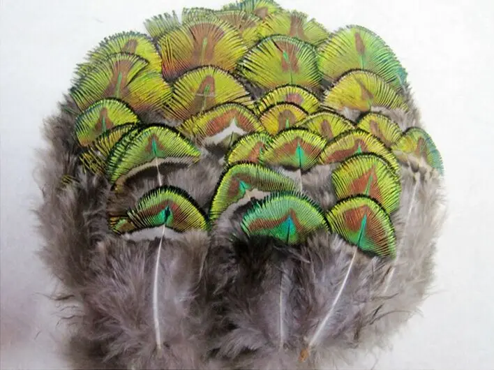Wholesale 10 pcs beautiful 5-8 cm / 2-3 inches Natural golden peacock feather | Дом и сад