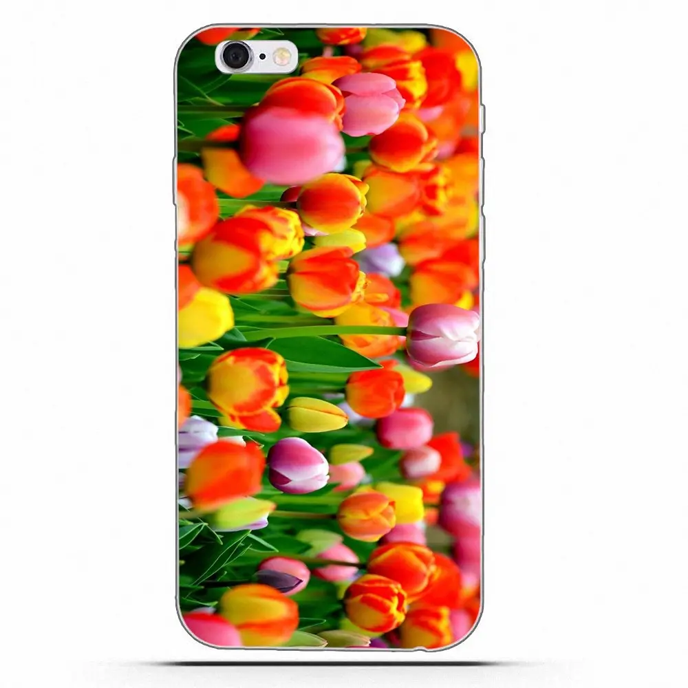 Wexoeq синие весенние красочные тюльпаны ТПУ шаблоны для Apple iPhone X 4 4S 5 5C 5S SE 6 6S 7 8 Plus |