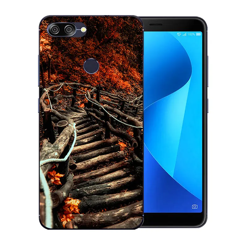 5.7 inch For Asus ZenFone Max Plus M1 ZB570TL Crystal Back Cover Volcanic Pattern Zenfone Plus(M1) X018DC Coques |