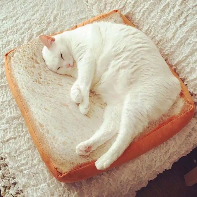 MISS DOGGY Funny 3D Cat Toast Bed Bread Dog Mats Cute Small Beds Warm Cushion with Removable Designer Washable Cover | Дом и сад