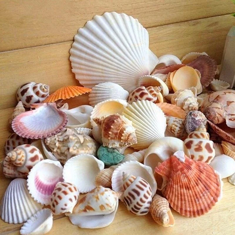 30 шт./пакет Mix Аквариум Пляж морской DIY ракушки смешанные россыпью прибл. 100 г