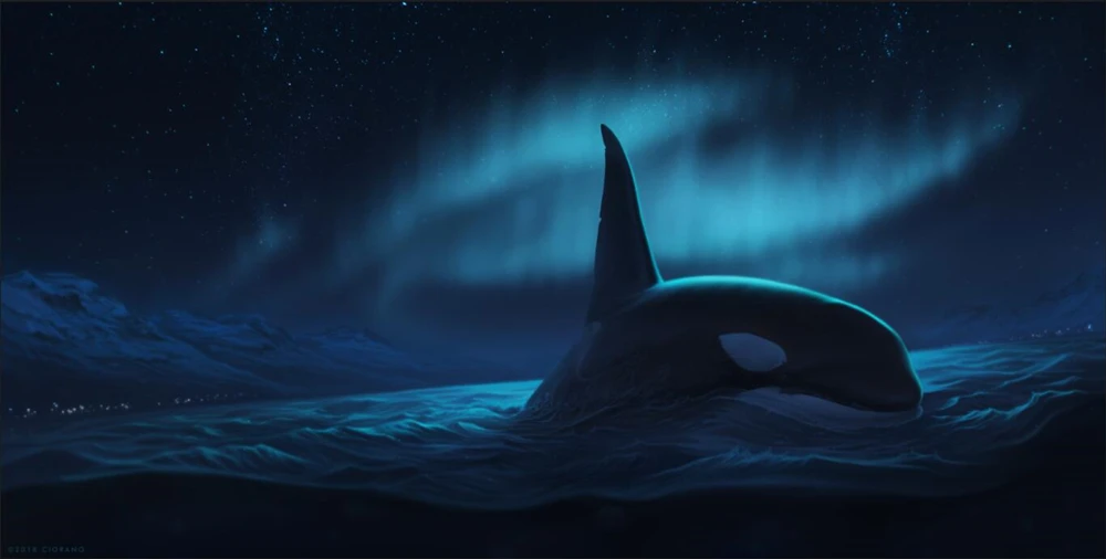 Papel де parede Orca ночные животные фото ночное время 3d обои для гостиной ТВ стены спальни кухня обои для стен