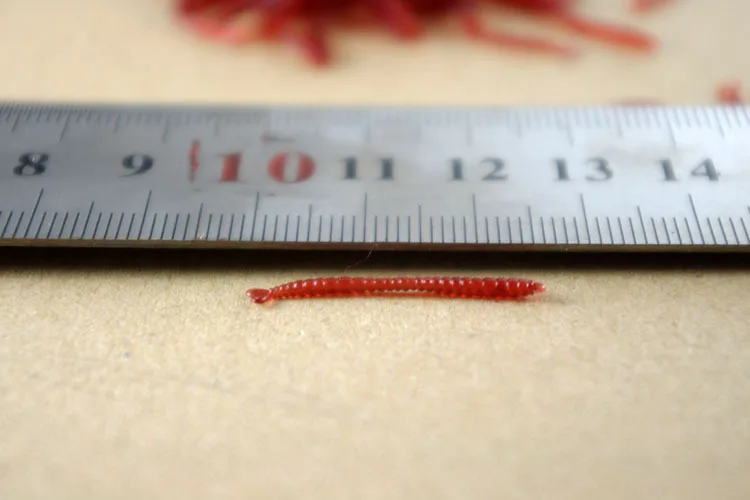 Рыболовная приманка для карпа с красным червем мягкие приманки запахом крови