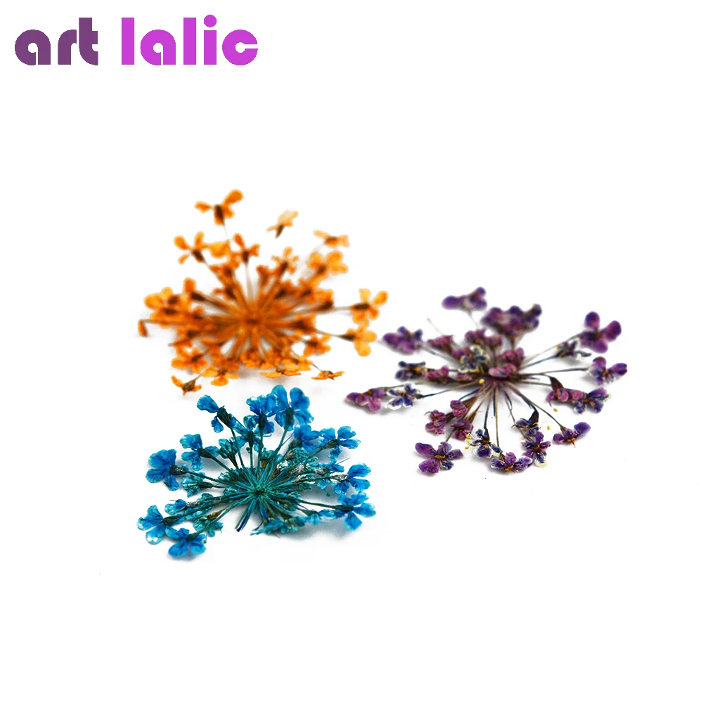 Стикеры с натуральным цветочным рисунком 3D высушенный цветок для ногтей