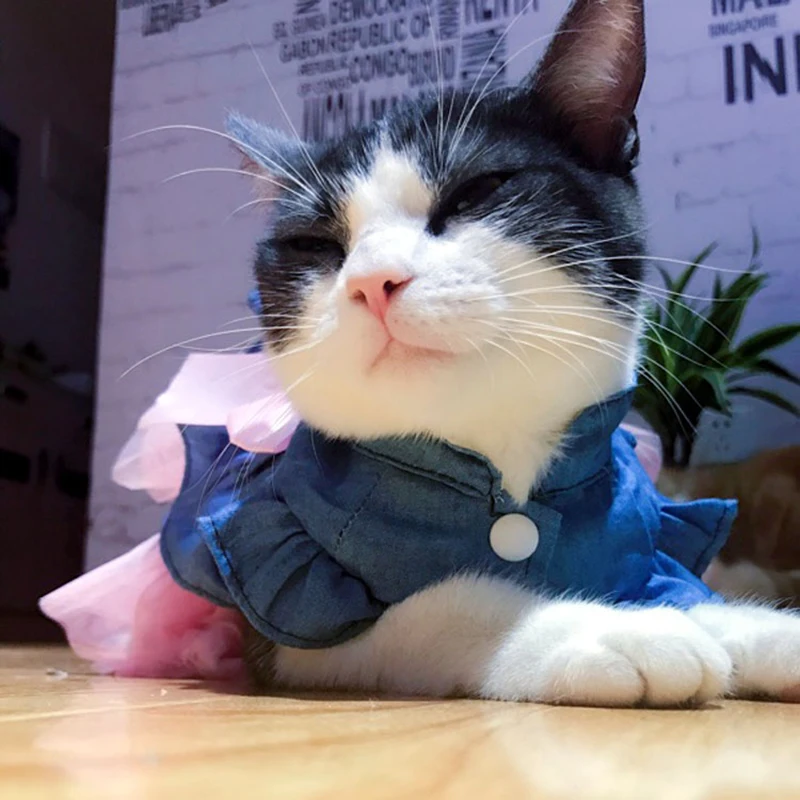 Denim Puppy Cat Dress Summer Girl Dog Clothes Dresses for Small Dogs Cats Shih Tzu Maltese Clothing Kedi Skirt Pets Costume | Дом и сад