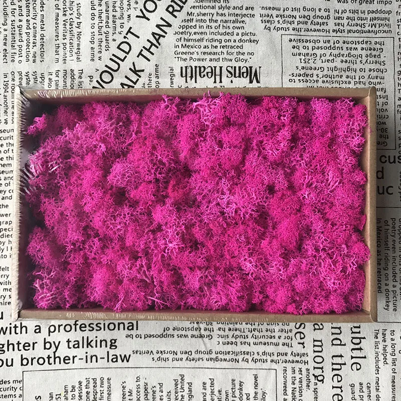 200 г DIY украшения Рождественские подарки долговечные сохраненные цветы мох