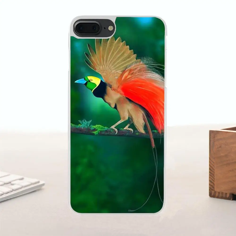 Bixedx Blue Ringneck Parrot для Galaxy Alpha Core Note 2 3 4 S2 A10 A20 A20E A30 A40 A50 A60 A70 M10 M20 M30 TPU Mobile Shell|Бамперы| |
