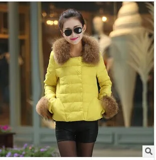 

The new 2020 raccoon coat with heavy hair collar short down jacket thickening more yellow feather women's coat T891