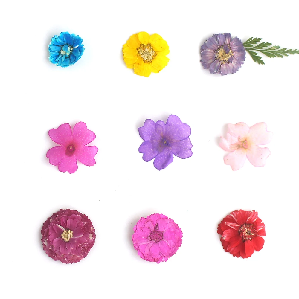 1 чехол 24 шт. сухие цветы Маргаритка на ногти наклейка Gypsophila лист засушенный натуральный лепесток дизайн ногтей Декор настоящая Флора гель маникюрные инструменты