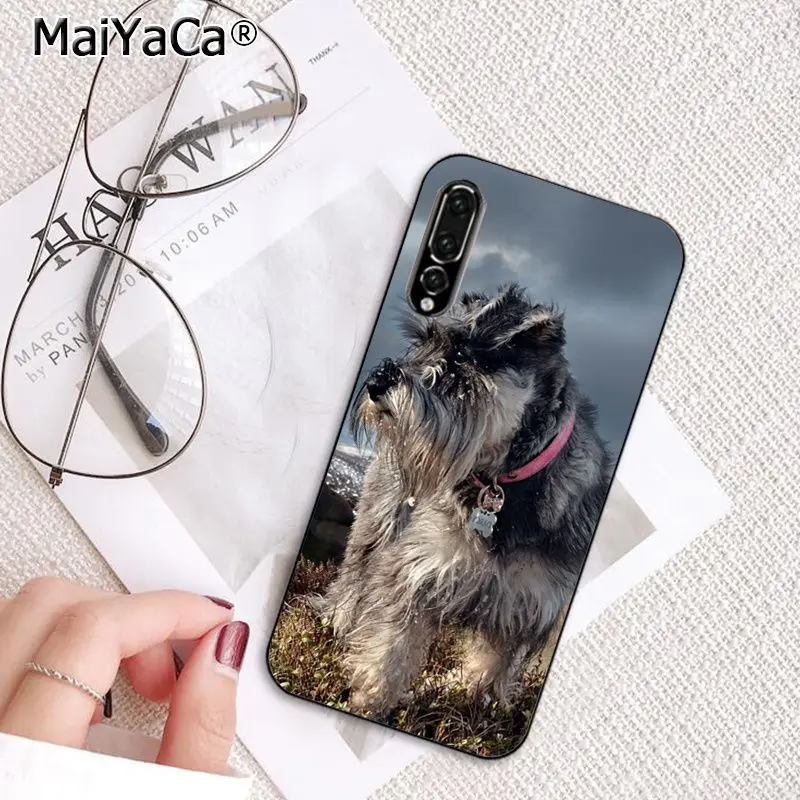 MaiYaCa милые собаки Шнауцер крашеный чехол для телефона для huawei P20Lite P30Pro P Smart Y5 Y6 Honor8A 8C 10i Nova3 Mate20Lite View10