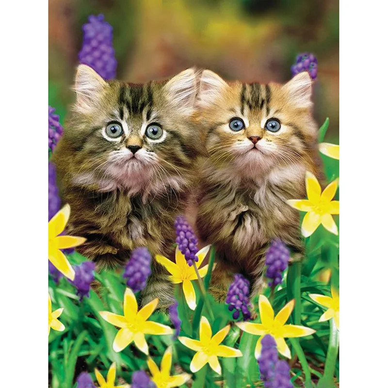 Полноразмерная/круглая Алмазная вышивка с изображением котенка в цвете 5D сделай