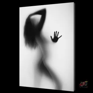 Печать стены книги по искусству Moderm домашний декор сексуальная женщина тень