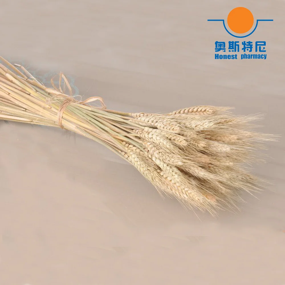 50 шт. Натуральные сушеные цветы букеты из пшеницы настоящие пшеничные цветок уха