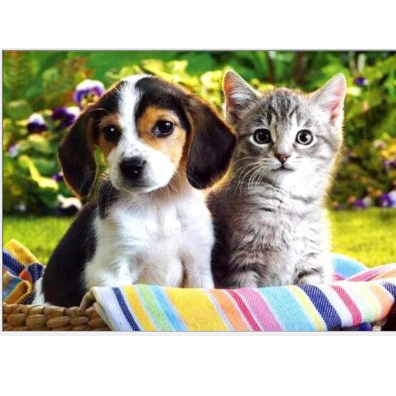 

2019 5D Diy Diamond Painting Animal Cat &Dag Diamond Mosaic Cross Stitch Full Round Drill Diamond Embroidery Decoration Drawings