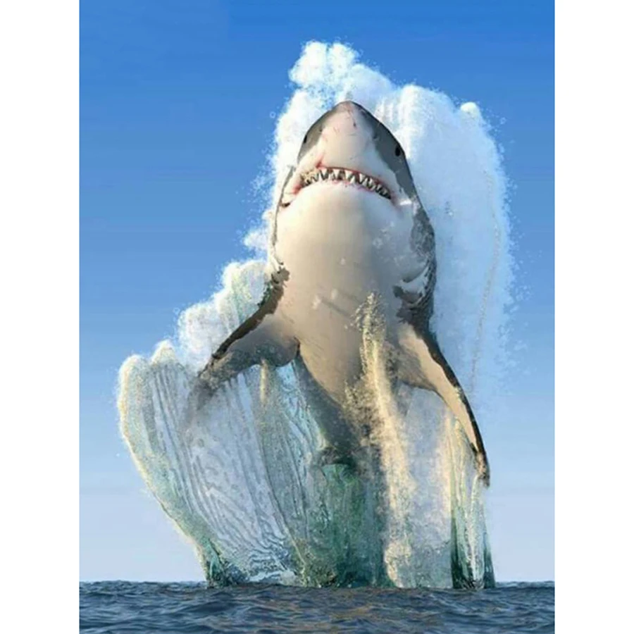 

5D shark picture full square Round drill Diamond Embroidery Rhinestone Cross Stitch Diamond Painting Needlework Home Decor craft