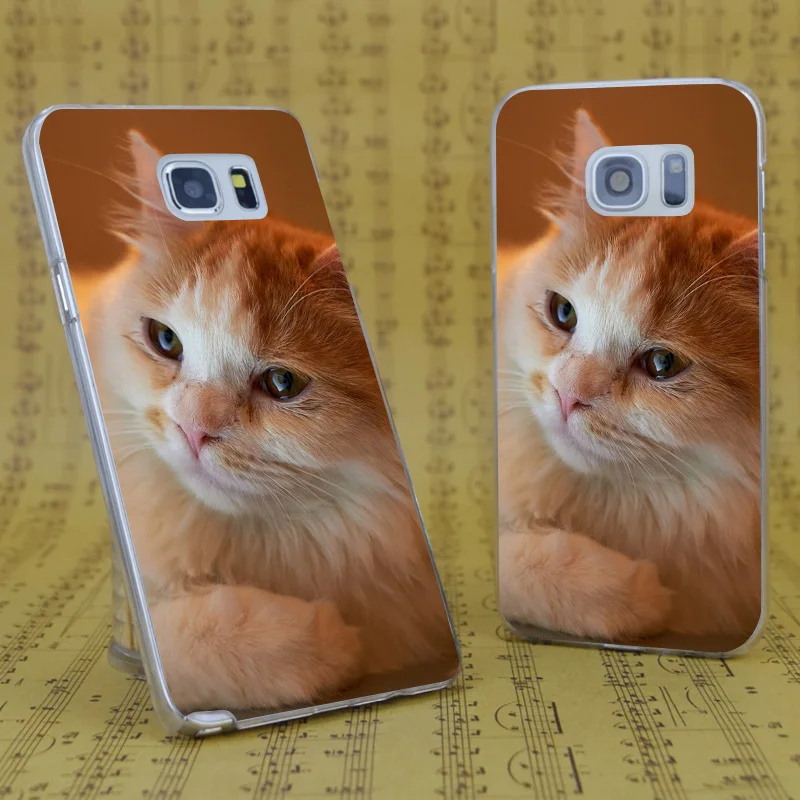 DREAM FOX B2808 Orange Fluffy Cat Transparent Hard PC Case Cover For Samsung Galaxy S 4 5 6 7 8 Mini Edge Plus Note 3 |