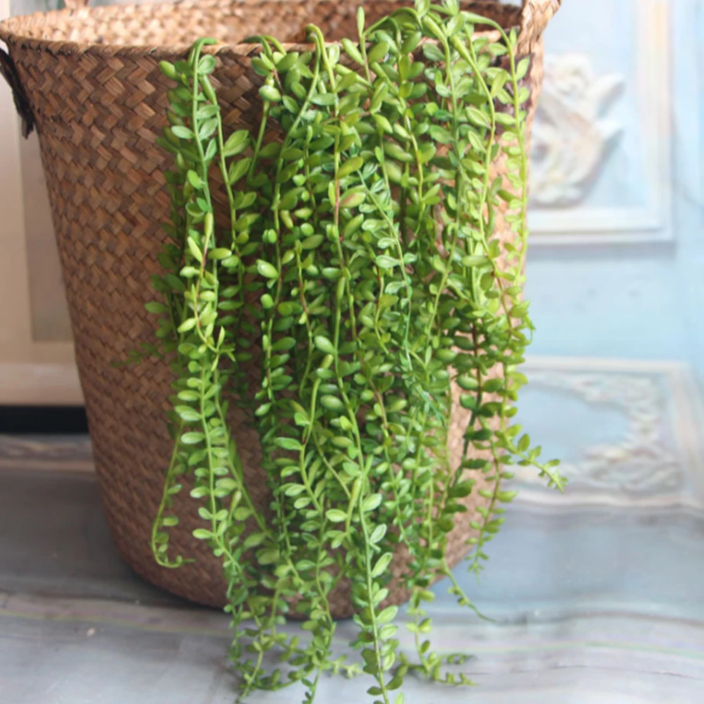 Artificial Succulents Pearls Fleshy Green Vine Flowers Hanging Rattan Wall Garden Decoration Flower Lover Tears Succulent Plants | Дом и сад