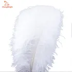 Перья страусиные натуральные, 15-70 см, 10 шт.лот