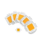 Встроенный светодиодный чип высокой мощности 10 Вт 20 Вт 30 Вт 50 Вт 70 Вт 100 Вт SMD чипы COB светодиодные лампы DIY для прожектора высокого качества