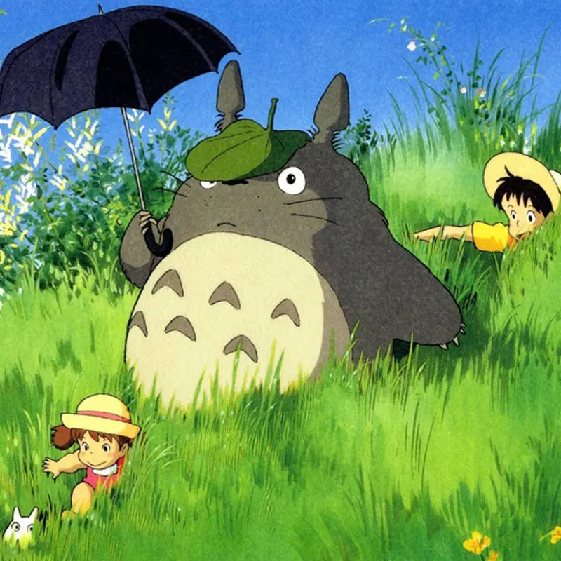 Женские толстовки с капюшоном аниме Мой сосед Tonari no Totoro толстовка короткий рукав