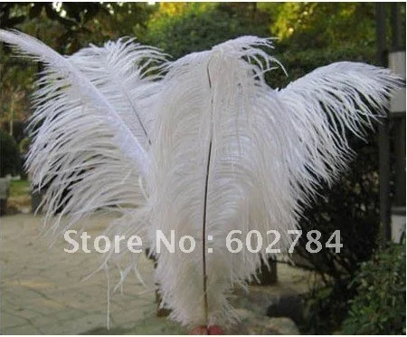 

Free shipping 100pcs/ lot 8-10inch 20-25cm white ostrich feathers wholesale real ostrich feather