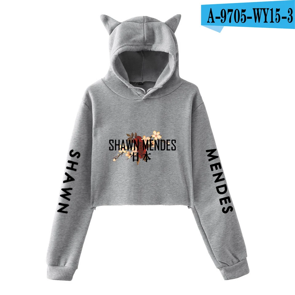 Gray Shawn Mendes толстовки с длинным рукавом, укороченный топ Kawaii, женская одежда для девочек, топы, толстовки, повседневное Пальто Harajuku Kpop размера плюс 2XL - Цвет: Gray
