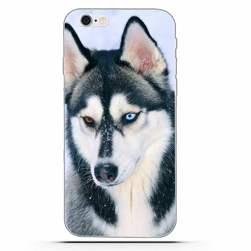 Чехол Wexoeq для телефона с изображением сибирской хаски Apple iPhone 4 4S 5 5C 5S SE 6 6S 7 8 Plus X |