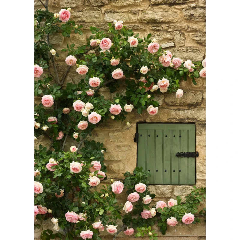 Фон с цифровой росписью розовая роза свадебные фото фоны художественные