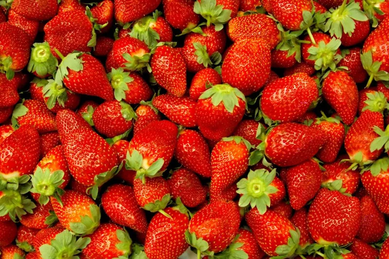 3D фрески на заказ обои с изображением фруктов ягод клубники пищевые для