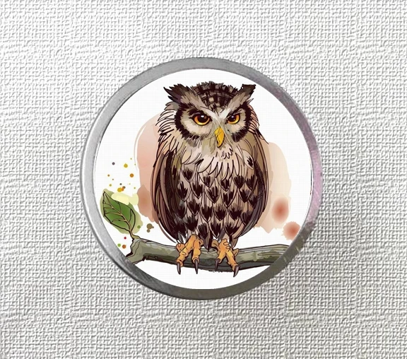 Vintage Owl Knobs Drawer Dresser Knob Handmade Cupboard Pulls Chic Kitchen Cabinet Door Handle Furniture Hardware | Обустройство дома