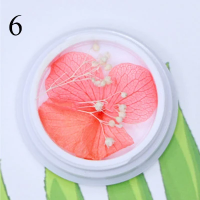 6 Natural Nail Dried Flowers Decoration Mix Dry Flower And Leaf Decor 3D Nail Art Designs Gypsophila Manicure Accessories - Цвет: 6