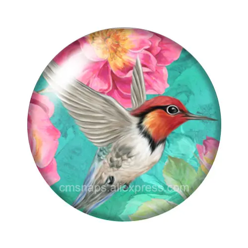 New Beauty Lively Hummingbirds Birds 10pcs mix 12mm/18mm/20mm/25mm Round photo demo glass cabochon flat back Making findings | Украшения и
