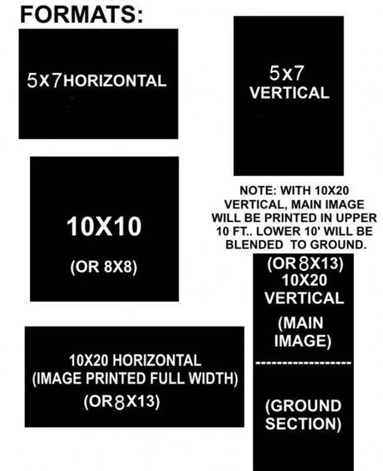 sunflowers mountain nature scenic for wedding photography studio digital backdrops camera fotographical vinyl background props |
