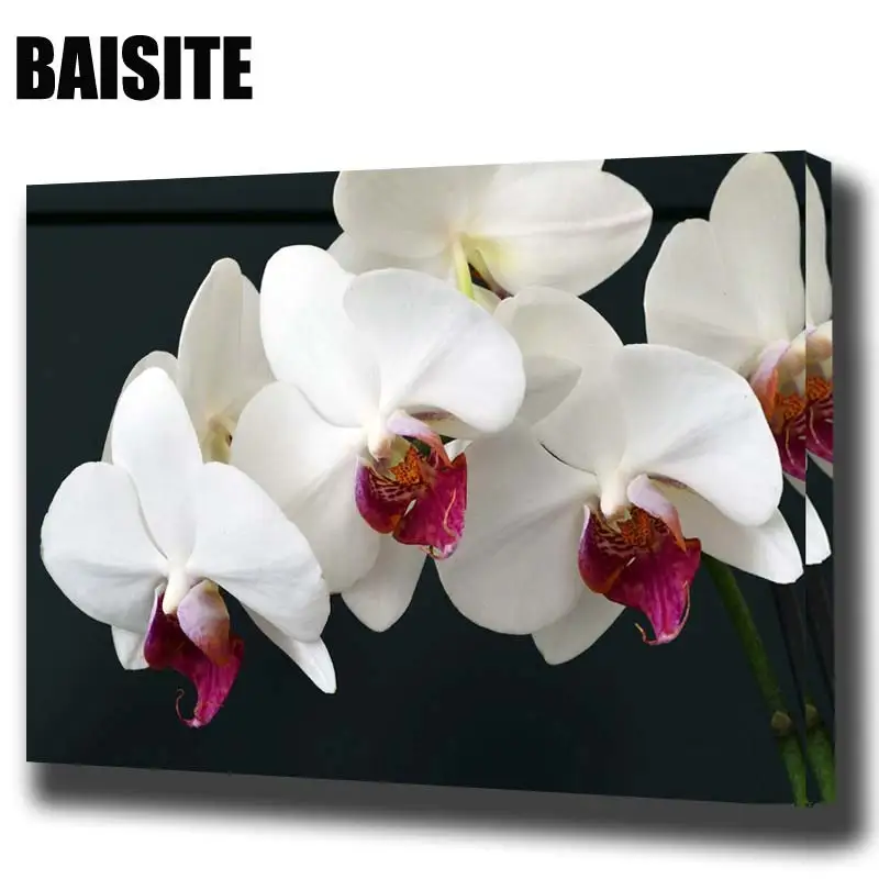 Картина маслом по номерам BAISITE сделай сам на холсте с цветами для гостиной