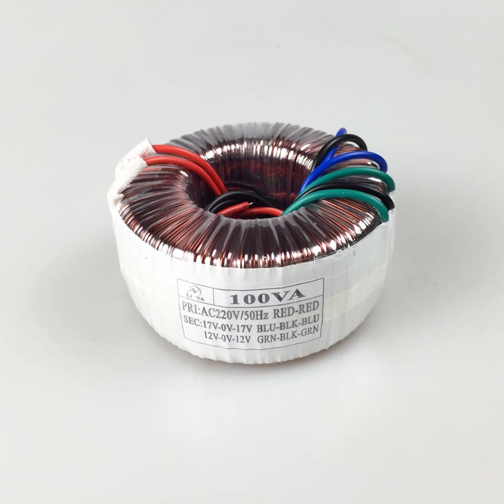 100 Вт тороидальный трансформатор профессиональный аудио усилитель мощности 220 В