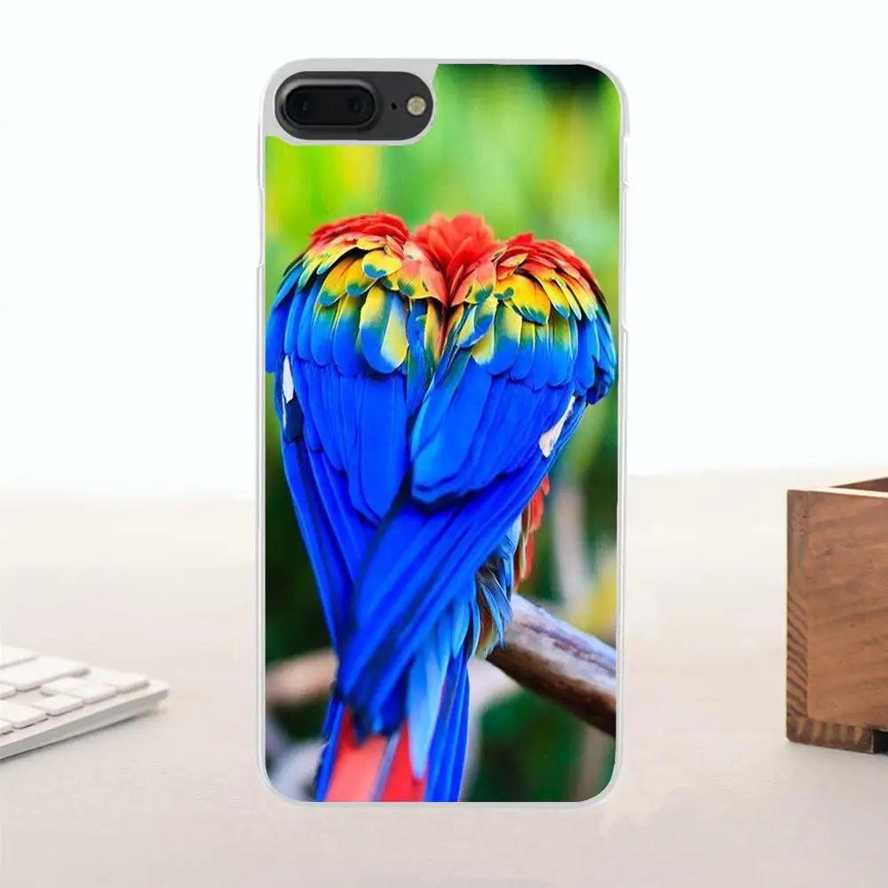 Rainbow Parrot For Huawei G7 G8 Honor 5A 5C 5X 6 6X 7 8 V8 Mate 9 P7 P8 P9 P10 Lite Plus Portugal Fashion Design Cell Case | Мобильные