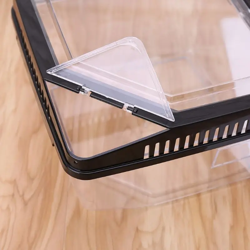 Пластиковый контейнер коробка для кормления рептилий паук Скорпион разведения