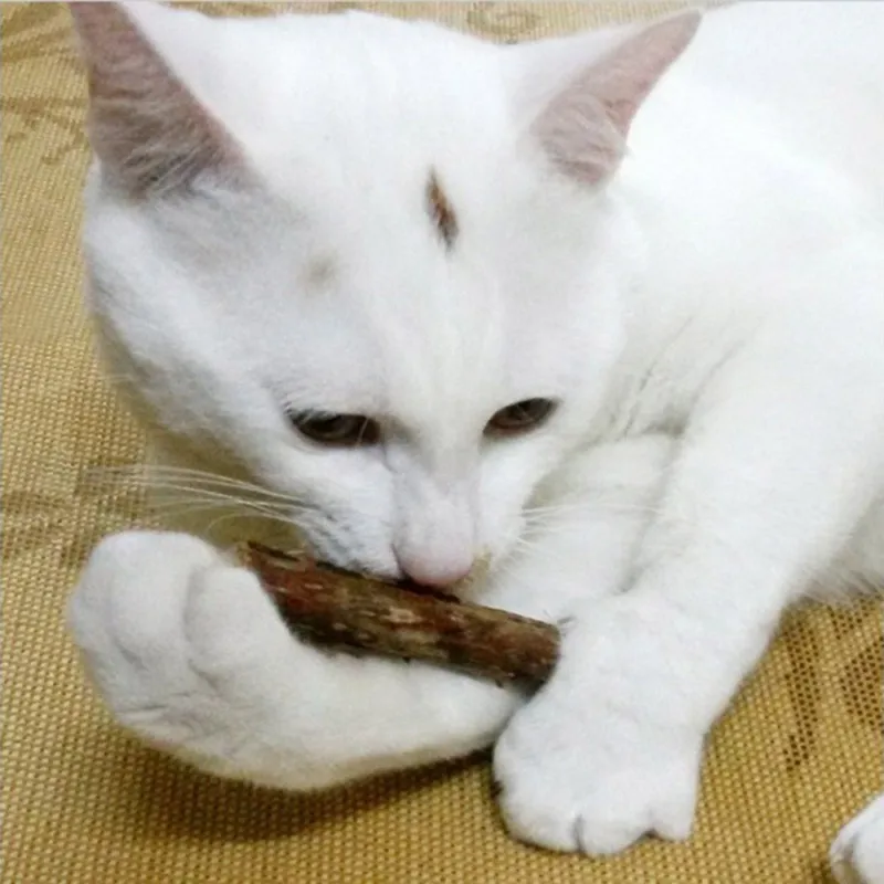 Игрушечный шарик из натуральной кошачьей мяты угощения для кошек с ментоловым