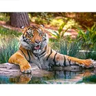 5d алмазная живопись сделай сам, вышивка крестиком, пейзаж, алмазная вышивка из смолы, Алмазная мозаика, вышивка тигром