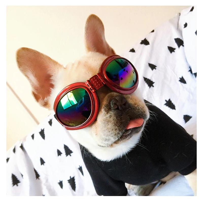 Модные изысканные солнцезащитные очки для питомцев и ветрозащитные зеркальные