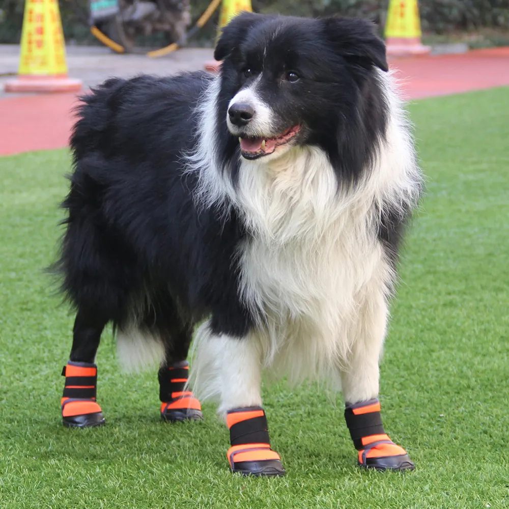 

4 Pcs Small Medium Large Sized Dog Outdoor Sports Dog Boots Waterproof Climbing Nonslip Dog Shoes High Quality Puppy Outdoor