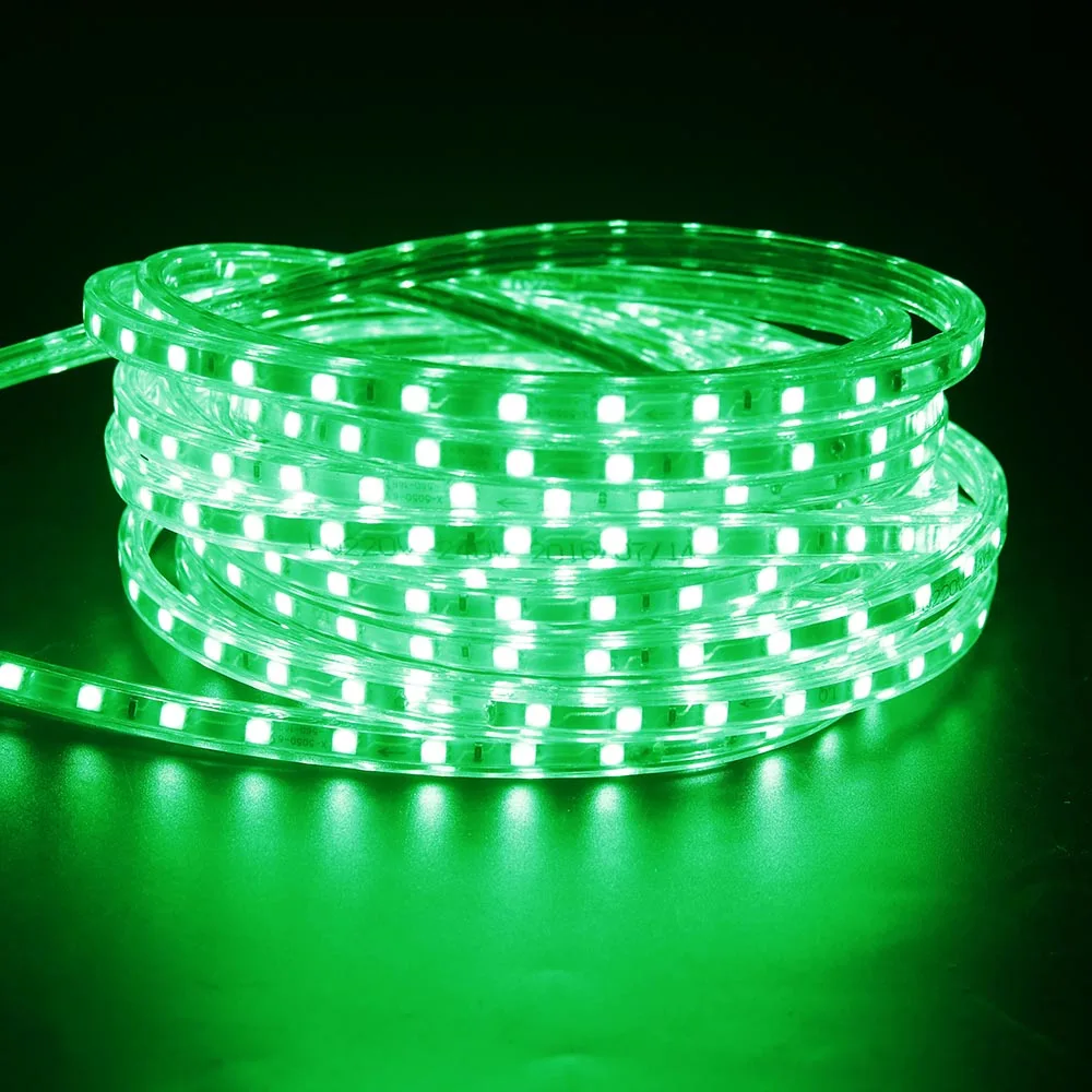 Green no controller 220 В Светодиодная лента 5050 Epistar чип ЕС шнур 1-25 м 60 светодиодов/м водонепроницаемый теплый белый декоративный светильник сменный цвет+ контроллер IL - Испускаемый цвет: Green no controller